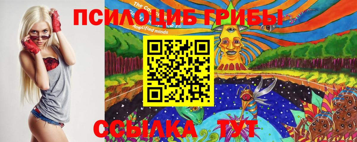 Псилоцибиновые грибы мицелий  Вход с VPN  Лабинск 