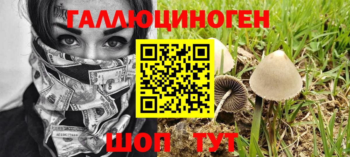 Галлюциногенные грибы GOLDEN TEACHER Лабинск